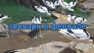 Зоопарк в феврале