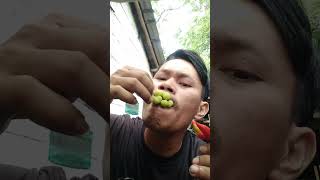 Makan buah cermai pake cabe rawit #shorts #trending #tiktok