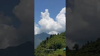 फिर से उड़ चला 📍@Adventurelover0001 #timelapse #nature #mountains #hillstation #himalayas #shorts