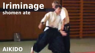 Aikido - IRIMINAGE on a shomen ate striking attack, by Stefan Stenudd in 2003