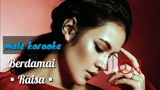 Berdamai - Raisa (male karaoke)