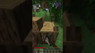 Cosas que hicimos de principiante en MINECRAFT