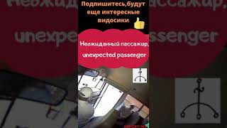 Dashcam , unespected passenger , неожиданный пассажир #shorts