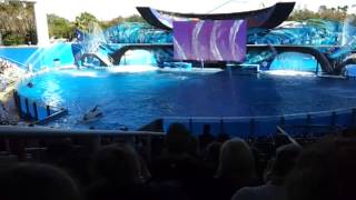 Shamu, One Ocean @ Sea World Orlando (2)