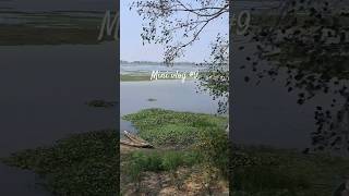 মুক্ত অক্সিজেন গ্ৰহণ কৰ Mini Vlog 9 #assamese#minivlog#youtubeshorts#dimpubaruha#bikashchetry