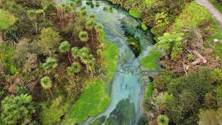 Blue Spring - Waikato.  New Zealand