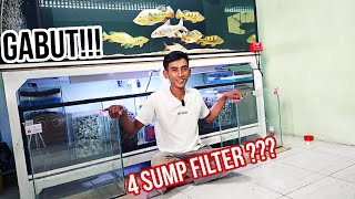 Tahap Awal ! Tambah Sistem Endapan di Sump filter tank predator.