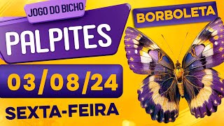 PALPITE DO DIA 03/08/2024 - JOGO DO BICHO 🍀 TODAS AS LOTERIAS 🍀