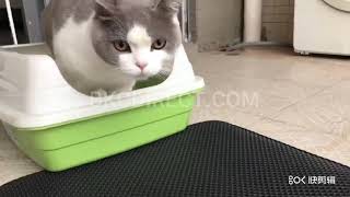 Cat Litter Mat