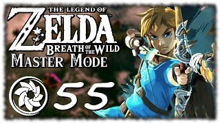 Breath of the Wild: Master Mode - PART 55 - Divine Beast Vah Medoh