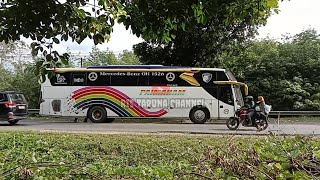 bus paimaham livery 🌈 sore ini pulang ke medan,dari Bengkulu,terliat lumayan sewanya