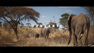 Tanzanie Episode 2  - Safari dans le parc national de Tarangire