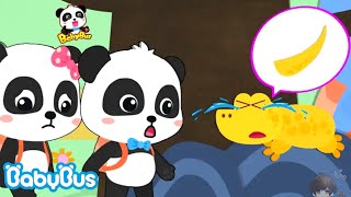 PANDA KIKI MEMBANTU DAN MERAWAT HEWAN-HEWAN YANG MEMERLUKAN BANTUAN | KARTUN | BABYBUS INDONESIA