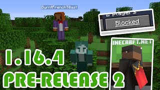 Minecraft 1.16.4 Pre-Release 2 | Get Blocked & A New Cape! | Snapshot Summary