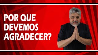 Por que devemos agradecer?| Luiz Mota Psicólogo