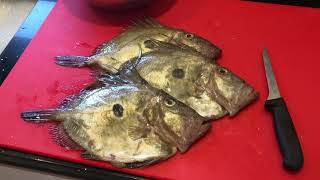 Filleting Fish - John Dory