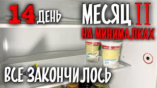 Закончились все продукты. Снова пустой холодильник. День 14 [МЕСЯЦ НА МИНИМАЛКАХ 2.6]