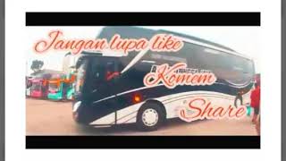 Bus defa trans {ngetrip bareng}