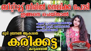 നെല്ലിക്ക പൊടി ഇങ്ങനെ ചെയ്താൽ /മുടി കാക്കകറുപ്പാവും /nellikka hair day/poppy vlogs/malayalam