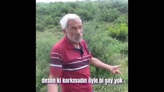 Define Aramaya Giden dayı: “Kedi, millet sıcak yatağında uyurken, sen ne arıyorsun burada” dedi