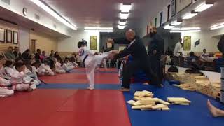 Blue belt spinning hook kick wood breaking