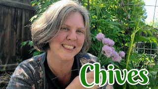 All about Chives & 2 Easy Recipes