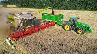 BRANDNEW CLAAS LEXION 2020 in Action | 2x John Deere | HARVEST 2019