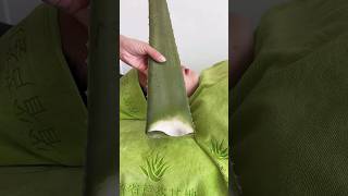 NATURAL ALOEVERA GEL FOR FACE ||#beauty #aloevera #face #natural #facepackforfairskin #youtubeshorts