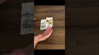 💖КАКОЙ МУЖЧИНА ПОКОРИТ ВАШЕ СЕРДЦЕ😻💕🔥 #таро #shortvideo #ленорман #tarot