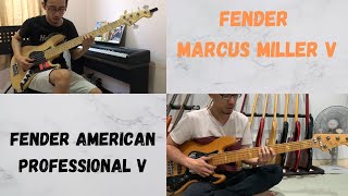 Fender MM 5 Or American Professional 5 (Fortune Teller)