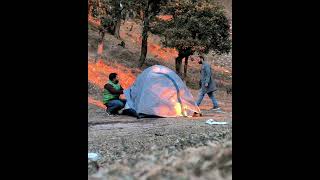 ⛺ Camping in Narkanda Shimla #nomad #shorts #camping #explore