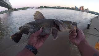 6-10-19 OHIO RIVER BANK FISHING Camo FLATHEAD