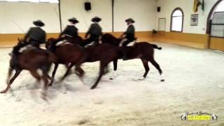 Ritmo A Caballo Día Andalucía en Club Hípico El Ranchito de Torremolinos, Málaga (Spain)