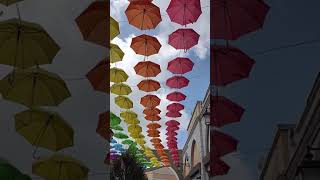 Umbrella Roma #shorts