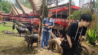 Suasana Penerimaan Tamu di Bonoran Ritual Rambu Solo' TORAJA