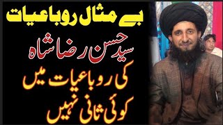 Syed Hassan raza saifi || best rubaiyat || new mehfil e naa سیدحسن رضاشاہ