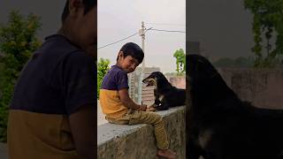 suyu ki masti #youtubeshorts #blackdogs