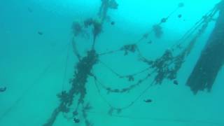 The Fishing Net Dive site Onha Okinawa Japan