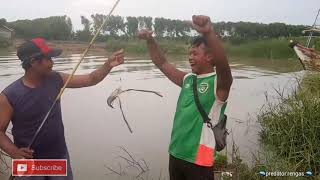 Lagi asik Mancing udang galah di ganggu seekor biawak //I enjoyed fishing for lobster at the sugges