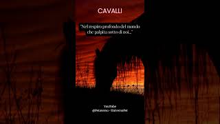 Nel respiro profondo del mondo che palpita sotto di noi #cavalli #animali #aforismi #frasedelgiorno