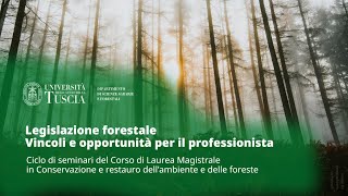 🖥️ LEGISLAZIONE FORESTALE | VINCOLI E OPPORTUNITÀ PER IL PROFESSIONISTA