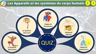 les appareils et les systèmes du corps humain