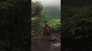 Bermain di alam bebas #shorts #mtb