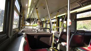 TTC Orion VII NG HEV #1374 (Route 52G Lawrence West)