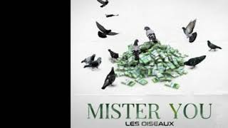 Mister you – Les oiseaux