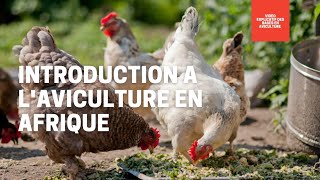 INITIATION À L'AVICULTURE EN AFRIQUE