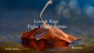 Navigating Emotions: Love and Rage | Fight Flight Freeze