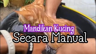 Cara Mandikan Kucing Secara Manual. Kok Bisa..?