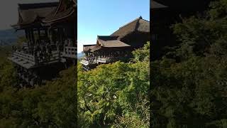 Kiyomizu Temple  The “Stage of Kiyomizu”