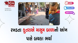 રખડતા કુતરાએ માસુમ બાળાની આંખ પાસે બચકા ભર્યાં @G24News